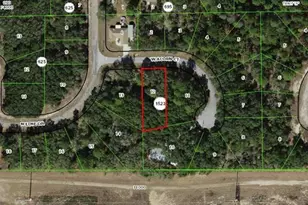 2866 W Acorn Ct, Dunnellon, FL 34433 - Photo 1