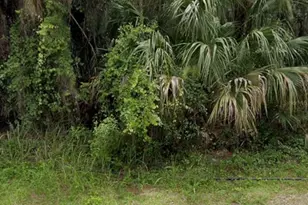 Channing Ave, North Port, FL 34287 - Photo 1