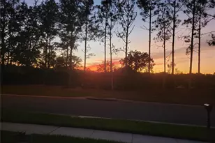 27343 Roanoke Dr, Leesburg, FL 34748 - Photo 51