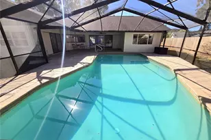 2940 Cypress Ridge, Palm Harbor, FL 34684 - Photo 29