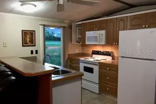 25624 Madison St, Astatula, FL 34705 - Photo 9