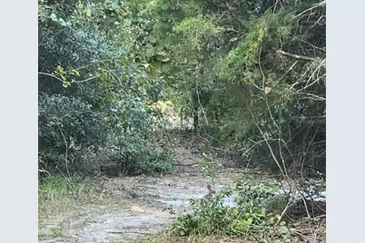 Tbd NW 27th Place, Chiefland, FL 32626 - Photo 13