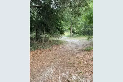 Tbd NW 27th Place, Chiefland, FL 32626 - Photo 19