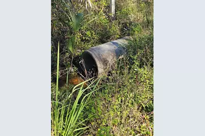 786 Fort Florida Road, Debary, FL 32713 - Photo 5