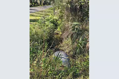 786 Fort Florida Road, Debary, FL 32713 - Photo 3