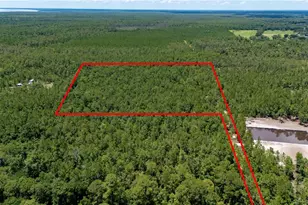 804 Shell Harbor Rd, Pierson, FL 32180 - Photo 1