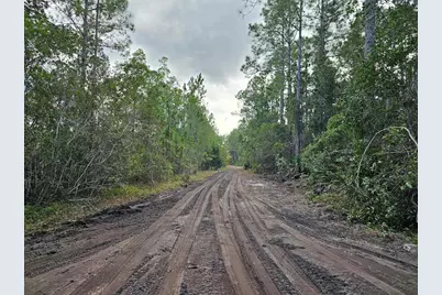 804 Shell Harbor Road, Pierson, FL 32180 - Photo 3