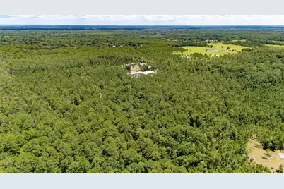 804 Shell Harbor Road, Pierson, FL 32180 - Photo 35