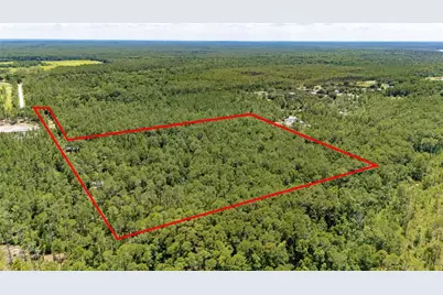 804 Shell Harbor Road, Pierson, FL 32180 - Photo 3