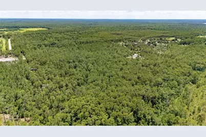 804 Shell Harbor Road, Pierson, FL 32180 - Photo 37