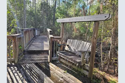 804 Shell Harbor Road, Pierson, FL 32180 - Photo 11