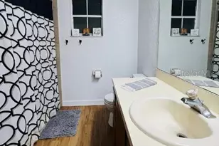 22162 Birr Ct, Mount Dora, FL 32757 - Photo 9