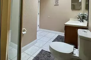 22162 Birr Ct, Mount Dora, FL 32757 - Photo 11