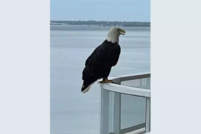 3060 Grand Bay Boulevard #174, Longboat Key, FL 34228 - Photo 49