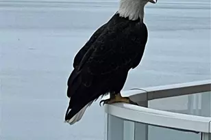 3060 Grand Bay Blvd, Longboat Key, FL 34228 - Photo 49