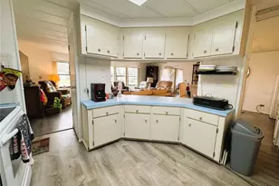 407 Palo Verde Dr, Leesburg, FL 34748 - Photo 7