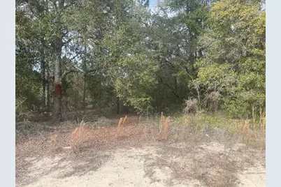 0 Rainbow Lakes Estates Blvd, Dunnellon, FL 34431 - Photo 3