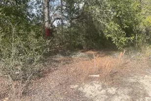 0 Rainbow Lakes Estates Blvd, Dunnellon, FL 34431 - Photo 1