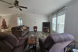 56290 Cherry Tree Rd, Astor, FL 32102 - Photo 3