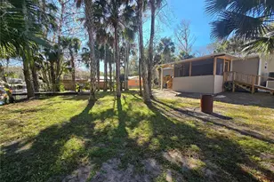 56290 Cherry Tree Rd, Astor, FL 32102 - Photo 19