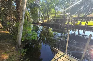 56290 Cherry Tree Rd, Astor, FL 32102 - Photo 23