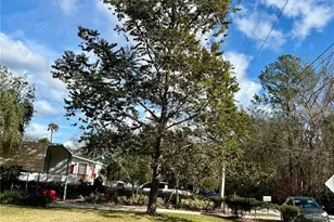 55730 Holiday Cir, Astor, FL 32102 - Photo 47