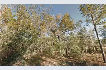 Ne 154th Avenue, Williston, FL 32696 - Photo 1