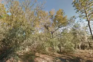 NE 154th Ave, Williston, FL 32696 - Photo 1