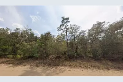 Osborne Street, Interlachen, FL 32148 - Photo 1