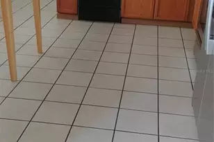 411 Sandspur Rd, Maitland, FL 32751 - Photo 7