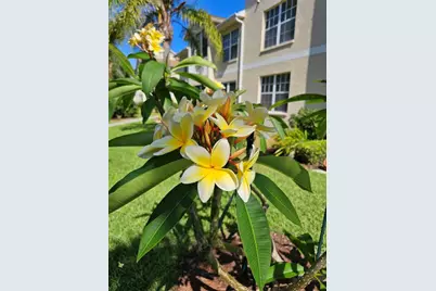 4250 Players Place #2621, Sarasota, FL 34238 - Photo 33