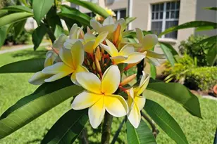 4250 Players Pl, Sarasota, FL 34238 - Photo 33