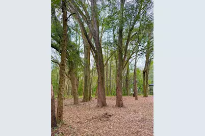 43 Pine Trace Course, Ocala, FL 34472 - Photo 3