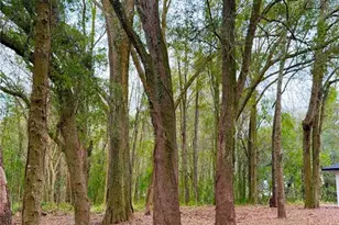 43 Pine Trace Course, Ocala, FL 34472 - Photo 3