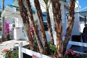 3351 Bahia Vista St, Sarasota, FL 34239 - Photo 5