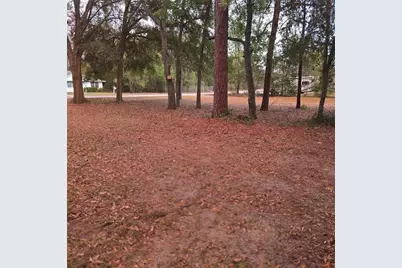 16430 SE 92nd Avenue, Summerfield, FL 34491 - Photo 27