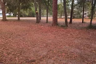16430 SE 92nd Ave, Summerfield, FL 34491 - Photo 27