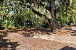 6610 McKown Rd, Sarasota, FL 34240 - Photo 67