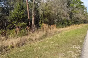 8824 Sun N Lake Blvd, Sebring, FL 33872 - Photo 3