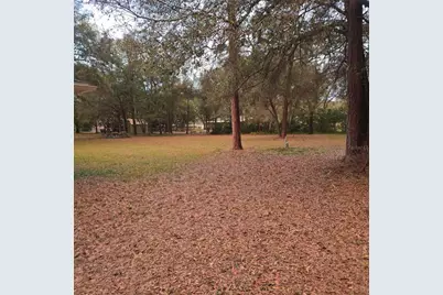 9181 SE Highway 42, Summerfield, FL 34491 - Photo 3