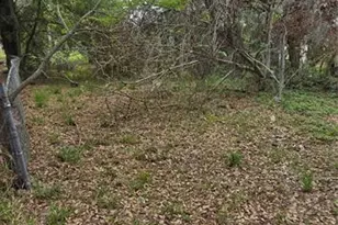 810 W 14th St, Lakeland, FL 33805 - Photo 3