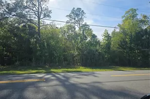 S Goodman Rd, Kissimmee, FL 34747 - Photo 1