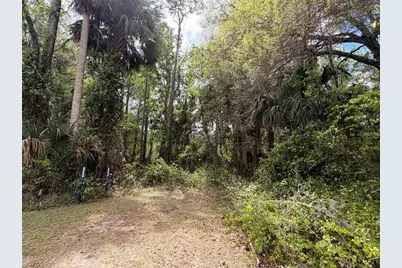 County Road 445A, Astor, FL 32102 - Photo 3