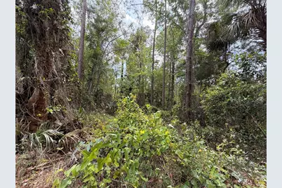 County Road 445A, Astor, FL 32102 - Photo 5