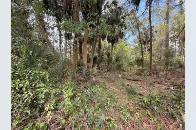 County Road 445A, Astor, FL 32102 - Photo 7