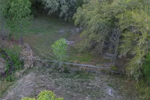 54523 Astor Transfer Station Rd, Astor, FL 32102 - Photo 23