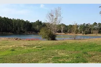54523 Astor Transfer Station Road, Astor, FL 32102 - Photo 29