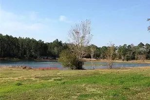54523 Astor Transfer Station Rd, Astor, FL 32102 - Photo 29