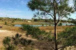 54523 Astor Transfer Station Rd, Astor, FL 32102 - Photo 9