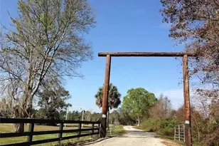 54523 Astor Transfer Station Rd, Astor, FL 32102 - Photo 27